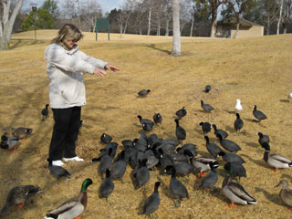 I'm queen of the world...of birds...